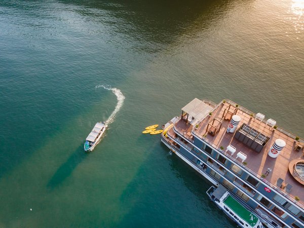 Techniques de survie à connaître lorsque vous campez en pleine nature